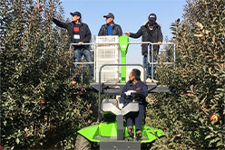 果園采摘平台 果園采摘平台