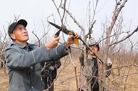 91香蕉视频APP污 91香蕉视频APP污