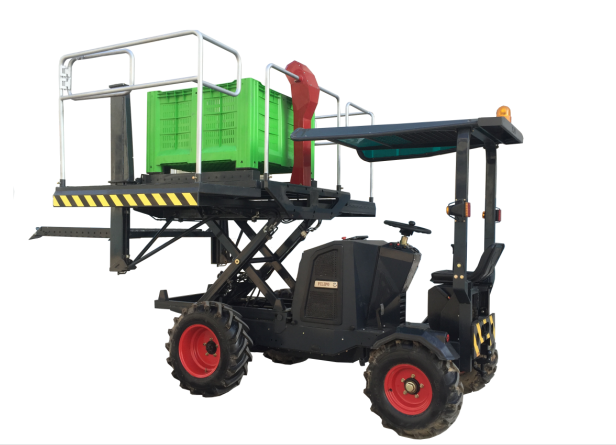 如何對果園進行夏剪 如何對果園進行夏剪