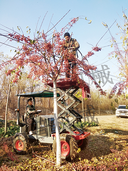 多功能高空作業平台