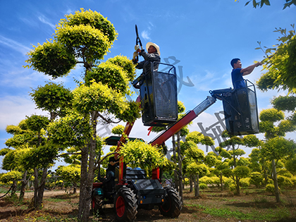 多功能伸縮臂式作業平台