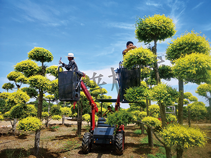 多功能伸縮臂式作業平台