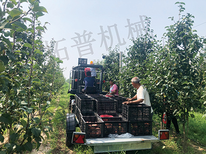 多功能果園作業平台