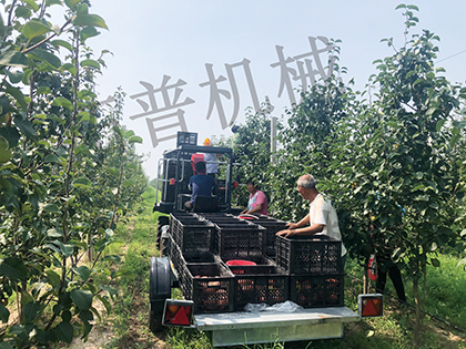 香蕉视频在线下载观看