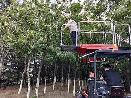 多功能機械伸展作業平台