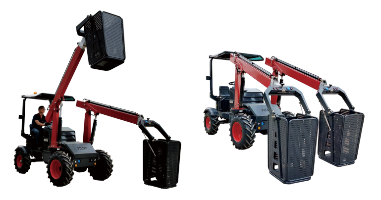 全麵修枝整形 提升城市園林綠化形象 全麵修枝整形 提升城市園林綠化形象