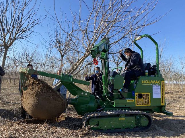 進口91香蕉视频APP污