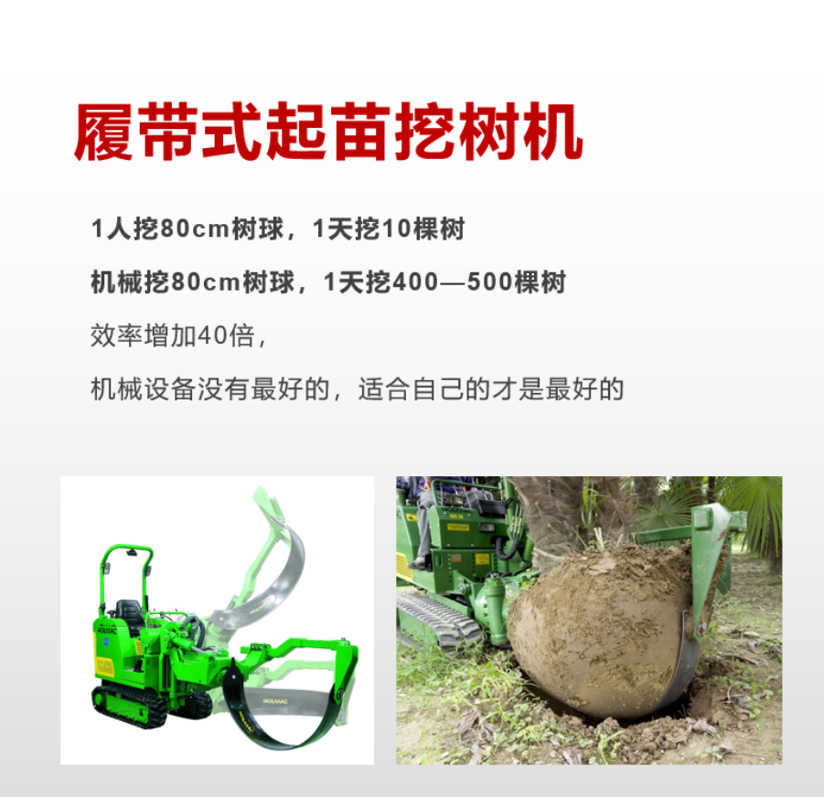 履帶式起苗91香蕉视频APP污