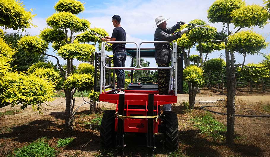 進口91香蕉视频APP污操作場景