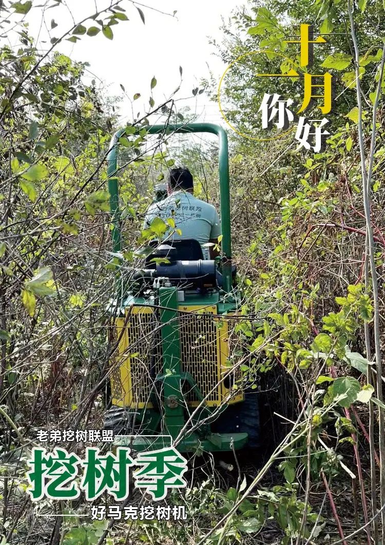 1668241899118155.jpg 微信圖片_20221112135018.jpg